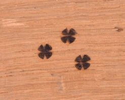 Brænder Til Træ - Med 5 Dele 11 Brænder Til Træ - Med 5 Dele -Værktøj Salgsbutik braender til trae med 5 dele 4