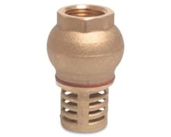 Sugesi - Bundventil Med Kontraventil - 3" Indvendigt Gevind