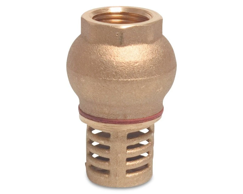 Sugesi - Bundventil Med Kontraventil - 3" Indvendigt Gevind 1 Sugesi - Bundventil Med Kontraventil - 3" Indvendigt Gevind