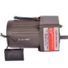 Gearmotor - 10 Watt - 230 Volt - 60 Rpm - 1:23
